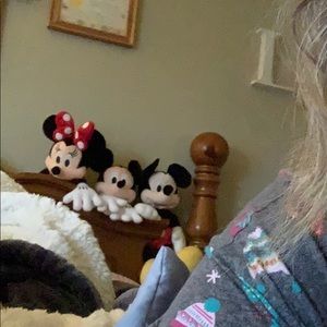 Meet your Posher, Robin